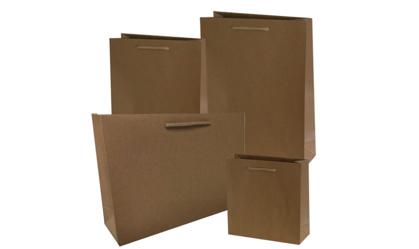 Papiertragetaschen braun mit Kordel